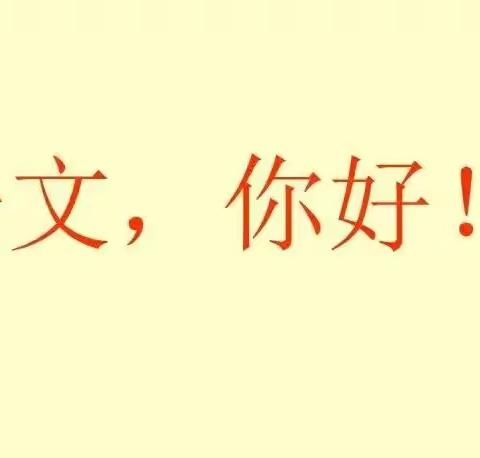 “研”途花开，“语”你成长——许岗小学语文教研活动