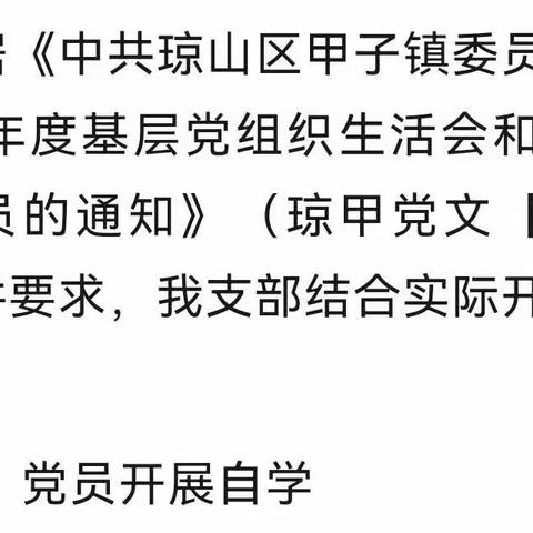 海南双鑫龙工贸有限公司党支学习二十大文件及召开2022年度组织生活会和开展      民主评议党员会