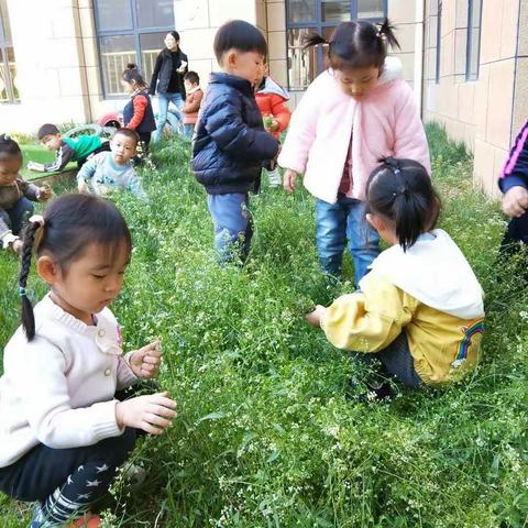 让我们爱的小花园一点点美起来——世纪凤华托育中心“小花园打造”家长义工招募开始啦