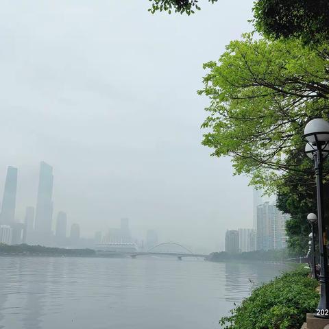 春雨润泽，老树嫩颜