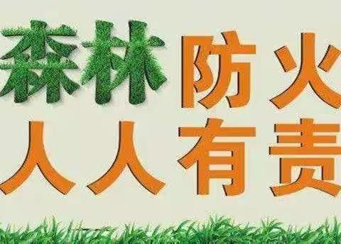 守护绿色家园——步古沟满族中学开展森林防火网络主题班会