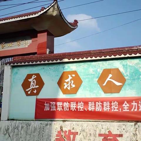 塔前镇杨家小学——《防汛抗洪排涝，校园安全排查》