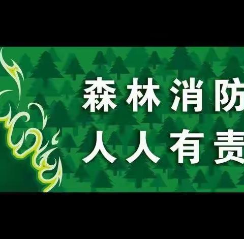 护国镇中心幼儿园，森林防火宣传月——森林防火，人人有责！