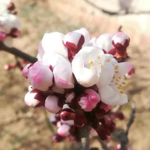 别让眼睛老去！相约在春季！