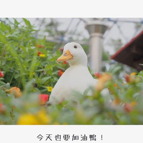 我们的小时光（二）