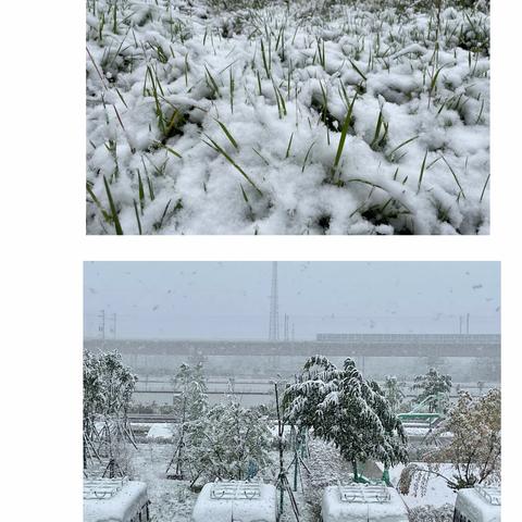 庆阳高铁信号车间应急除雪培训
