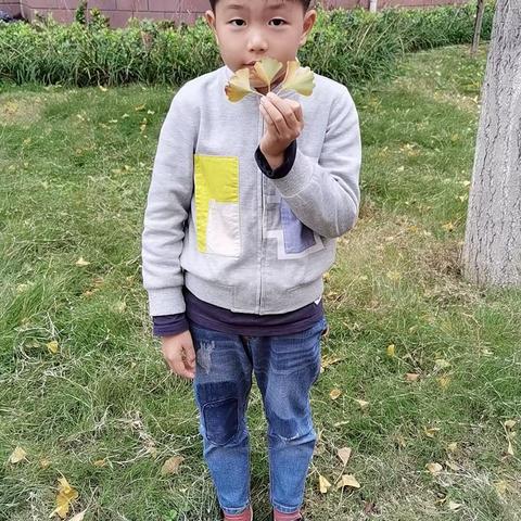 寻找秋天的记号—实验小学一（9）班综合实践“捡树叶活动”