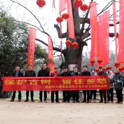 记住乡愁，记住回家的路一一澧县码头铺镇昌家村段家峪“征楹联、挂灯笼、舞狮子”活动纪实