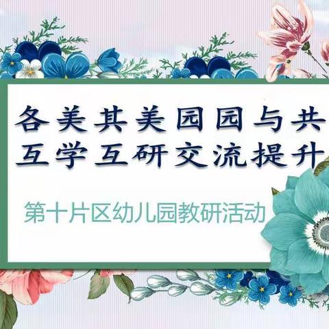 “各美其美园园与共，互学互研交流提升”---记第十片区幼儿园教研活动