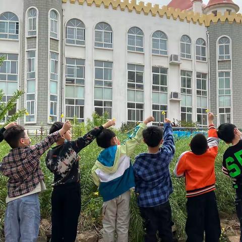 汤阴县阳光雨露幼儿园——《春天的约会》——幸福树班