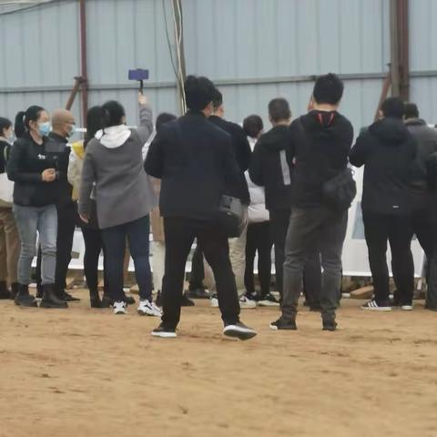 南阳黄山遗址入选全国十大考古新发现！出土玉石器相关遗物数万件！