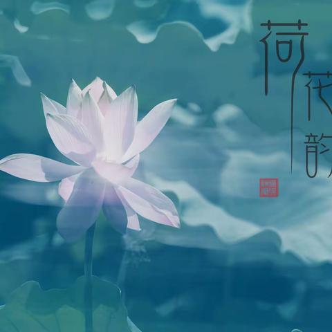 莫兰迪色调创意荷花