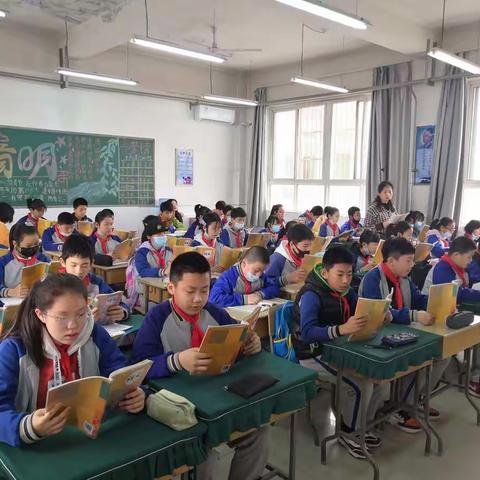 启发  引领  收获  成长——“部编教材小学第三学段语文随文小练笔教学实践研究”课题研修活动7