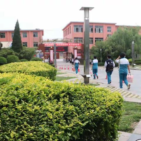 初夏阳光正好  校园书香依旧——武安市第二中学八年级学子平安返校复课