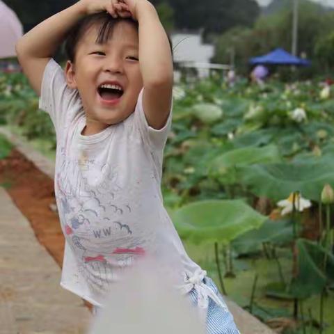 2015曾陪你走過的日子