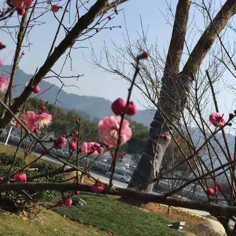 一見如故，尋味故鄉