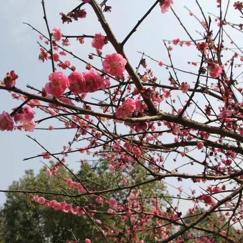 艳阳满天—亲子活动