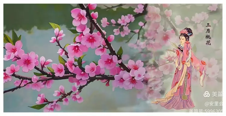 时令花卉图片 组合