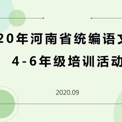 让统编教材落地生根——市直四小语文统编教材网络培训纪实