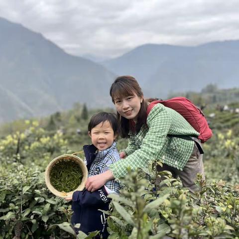 大美羌山语  亲子采茶忙——绵阳科技城新区元通实验幼儿园大班组春游活动