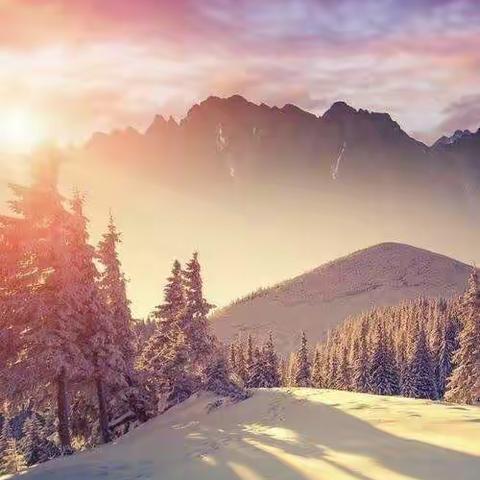 专于妇幼保健，精于优质服务