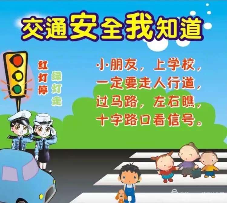 金庄幼儿园安全教育【交通安全】
