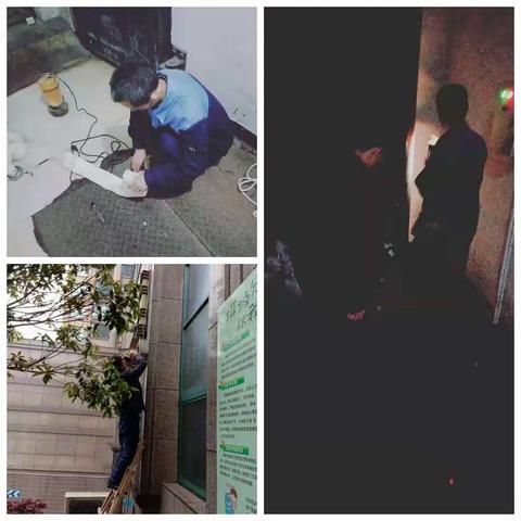 才子城一期工作汇报