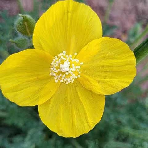 邯郸冀南新区南城乡中史村学校5月7日空中课堂纪实