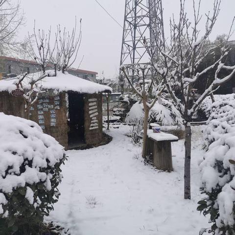 “我的快乐雪❄️知道”—西安市鄠邑区祖庵中心幼儿园雪景篇