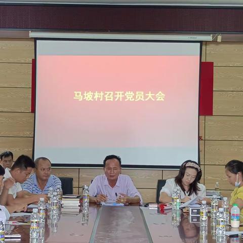 马坡村召开“七一”党日主题活动