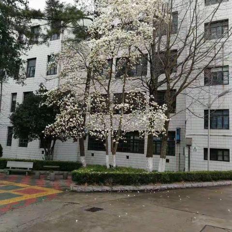 特殊的班会，特别的冲刺——通州区姜灶中学2020届学子别具一格的百日冲刺