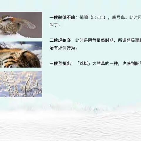 大雪至，寒冬始——沙圪堵第一幼儿园开展二十四节气活动之大雪