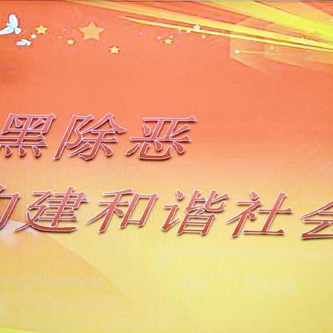 扫黑除恶，构建和谐社会——记民办幼儿园联合党支部六月主题党日活动