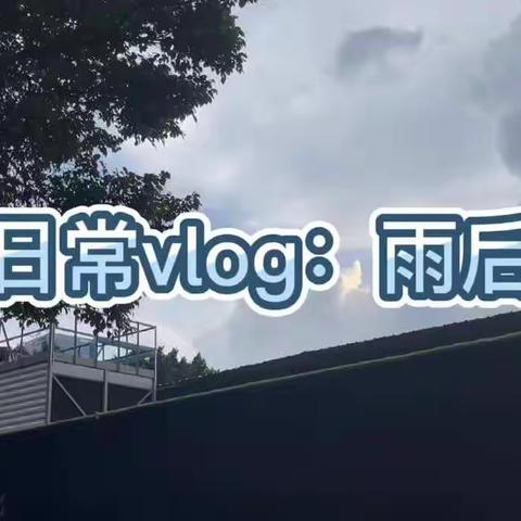 日常vlog：雨后