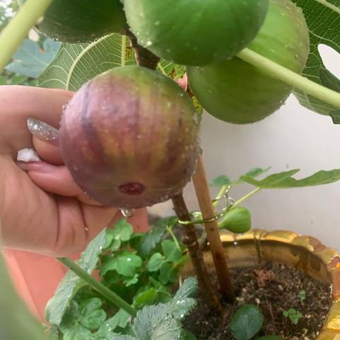 收货的喜悦