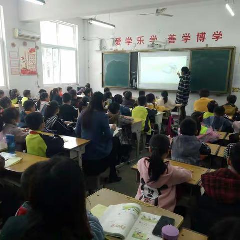 精心备课，共同进步---舞钢市第二小学二年级数学“同课异构”教研活动