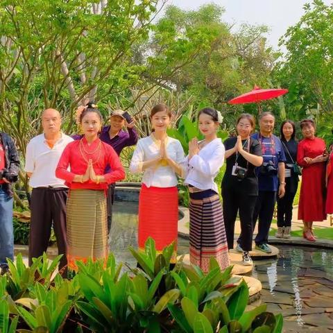 版纳雅居乐便民信息😁(不断更新)