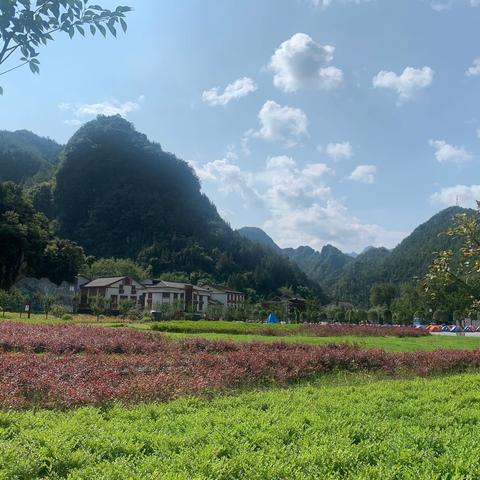 川陕渝网友打卡网红地 发现曾经两个人(海量视频+组图)