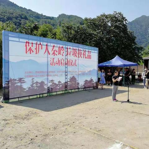 弯弯腰，伸伸手；党员在行动，秦岭更美丽
