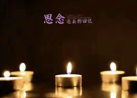 【鹧鸪天·清明节寄哀思】