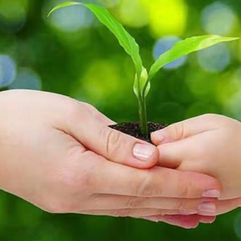 春风化雨润无声，一枝一叶总关情——开学第一课之内务整理