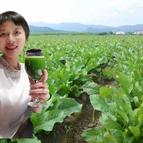 营养酸模·长寿菜：桐君山下的追梦人……