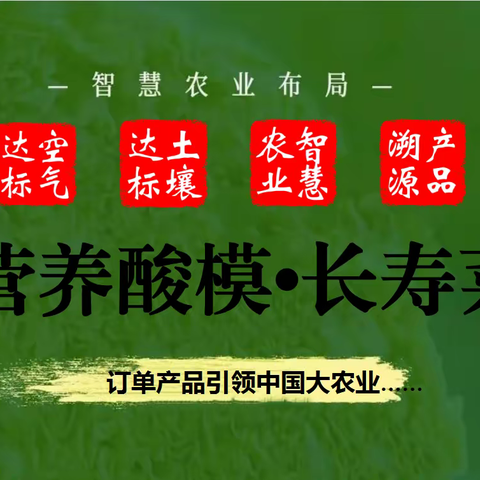 营养酸模•长寿菜对话五千年前康养的文明……