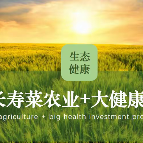 营养酸模▪长寿菜的小吃荟萃……