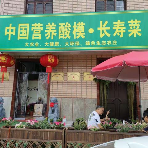 用营养酸模·长寿菜制作杭州名吃——梅干菜！