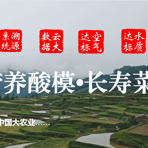大国农业：智慧农业引领营养酸模•长寿菜的订单！