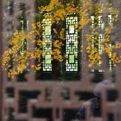 读书上瘾让生活更美好