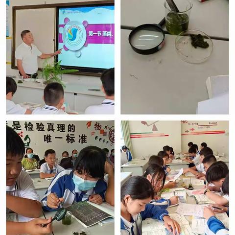 初中生物学科11月作业设计暨攻关团队“1+3”教学范式主题研训活动