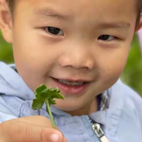 托班娃和大自然的亲密接触【马桥镇西孙幼儿园】