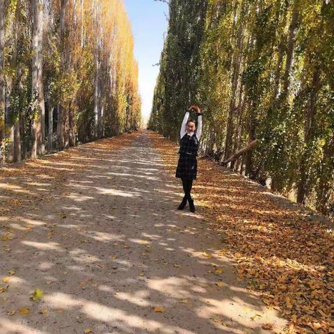 2018年总结，新年2019的计划🍀🌴